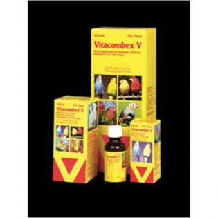 Vitacombex V Inhalt 125 ml